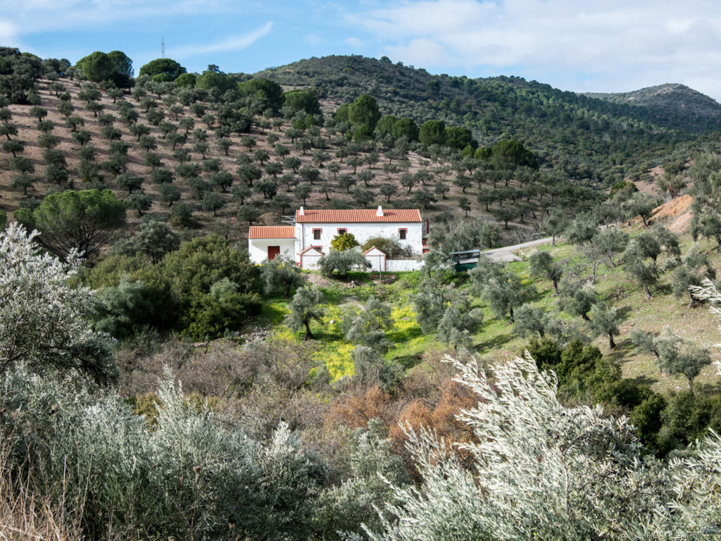 Haus in Andalusien