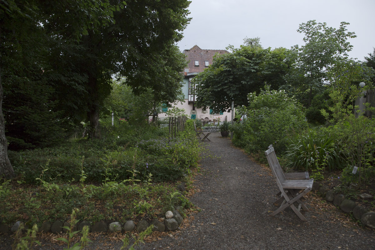 50+ Eva Eberwein Der Garten Von Hermann Hesse, Online bestellen oder