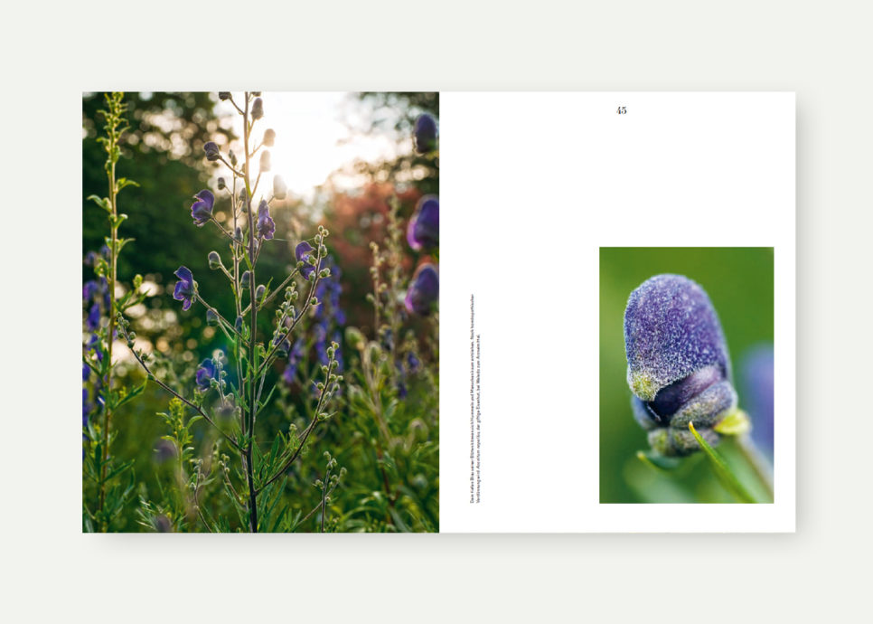 Das Weleda Gartenbuch Das Wissen der Weleda Gärtner