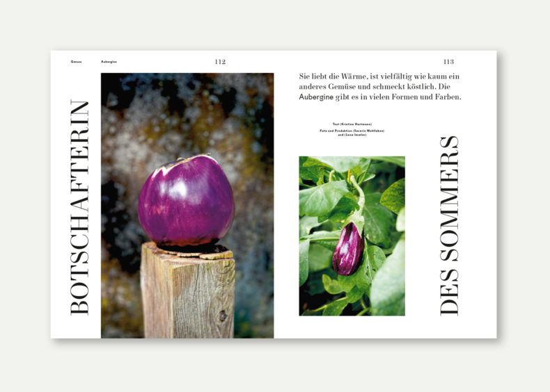Werde Magazin - Sommerheft 2019