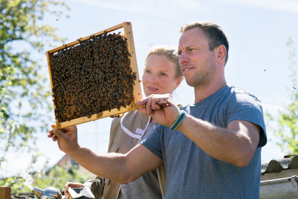 Werde Magazin-Mit Bienen leben