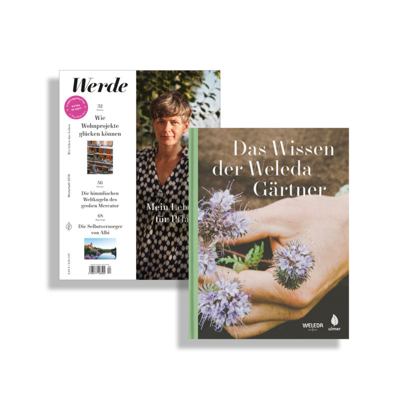 Werde Magazin