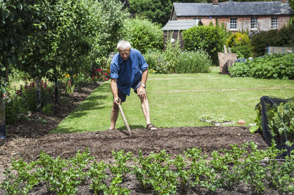 Der Engländer Charles Dowding in seinem Garten beim Umgraben