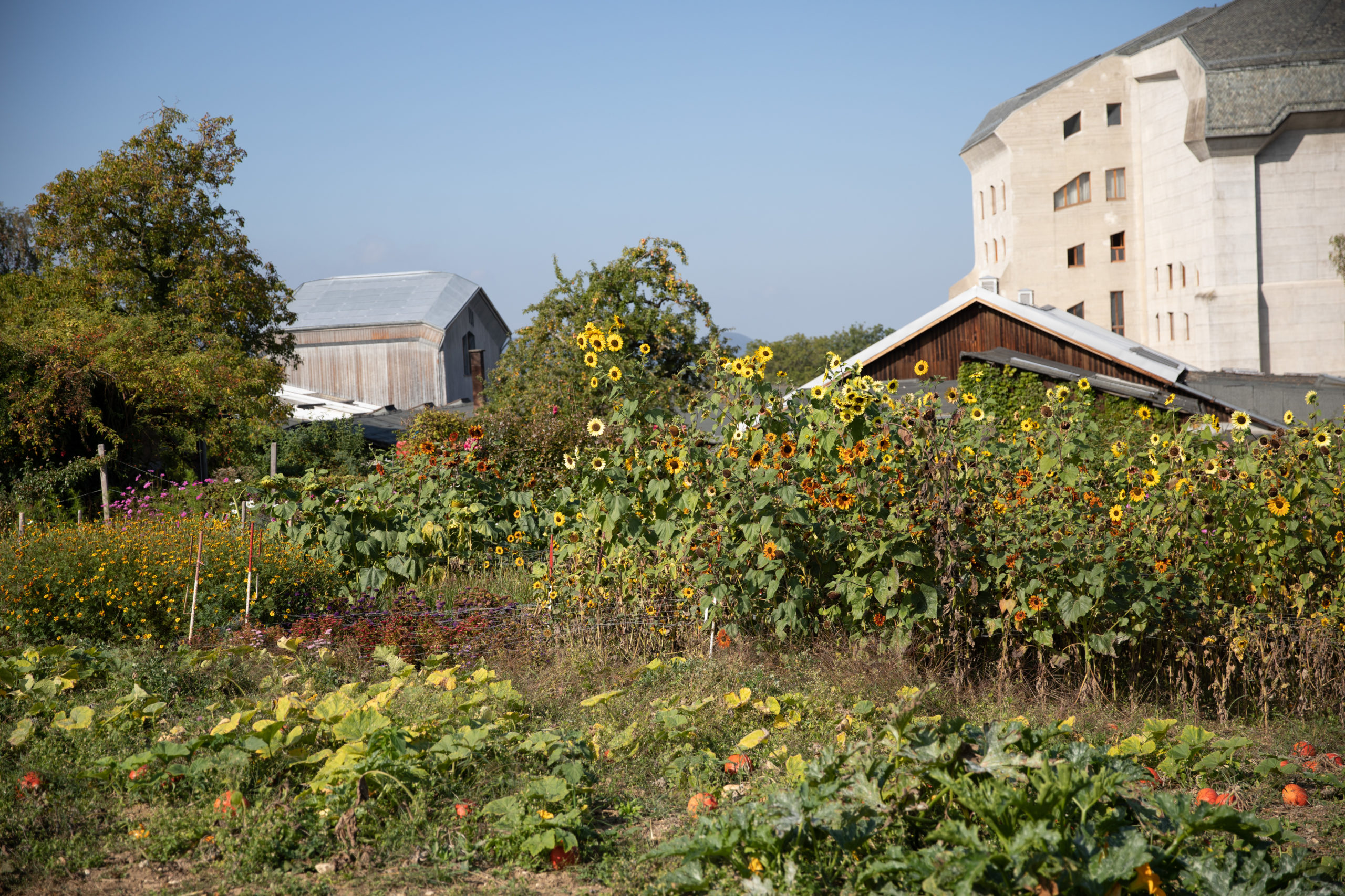 Living Farms: Das Wissen sammeln der Bio-Landwirtschaft