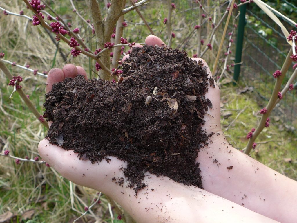 Wie Kompost dem Boden hilft
