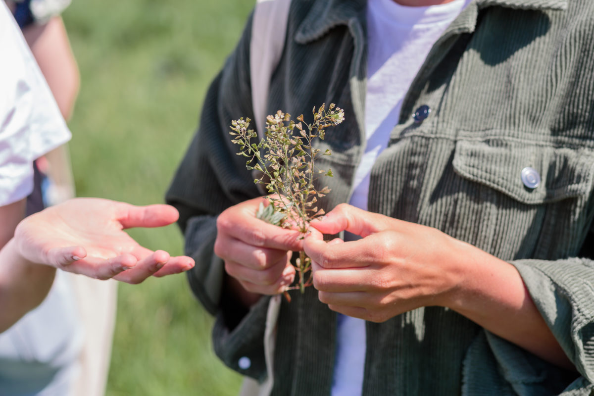 Johannas ewiger Garten Permakultur Werde Magazin