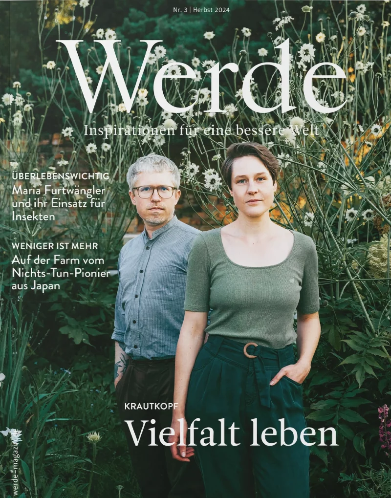 Werde Herbst 3/2024