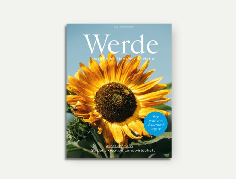 Sommer 2025
