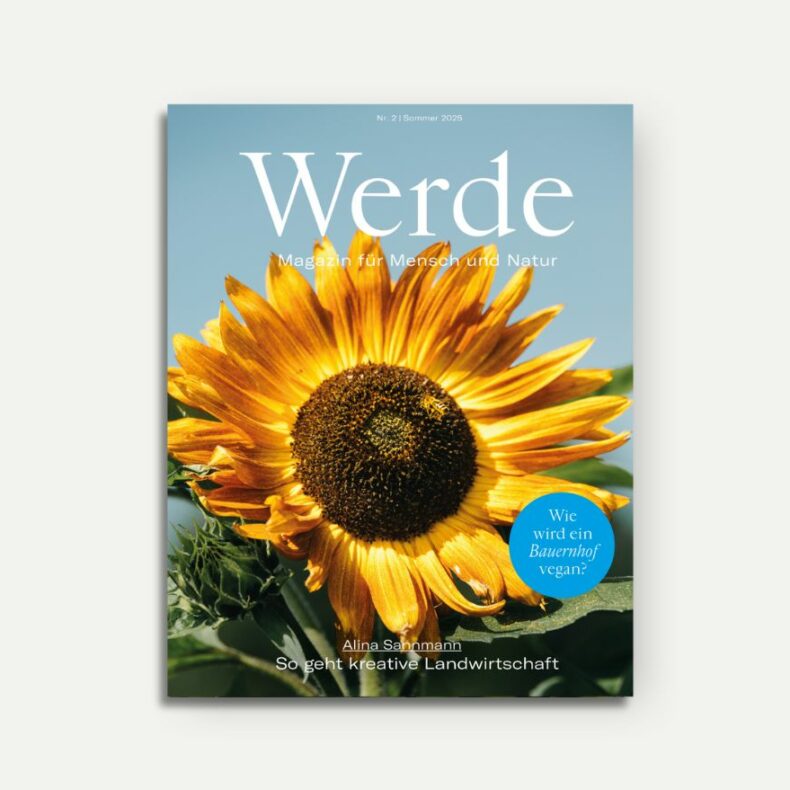 Sommer 2025