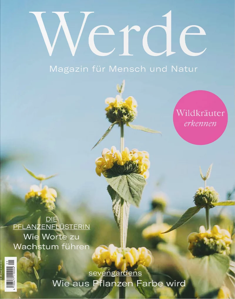 Werde Frühling 1/2025