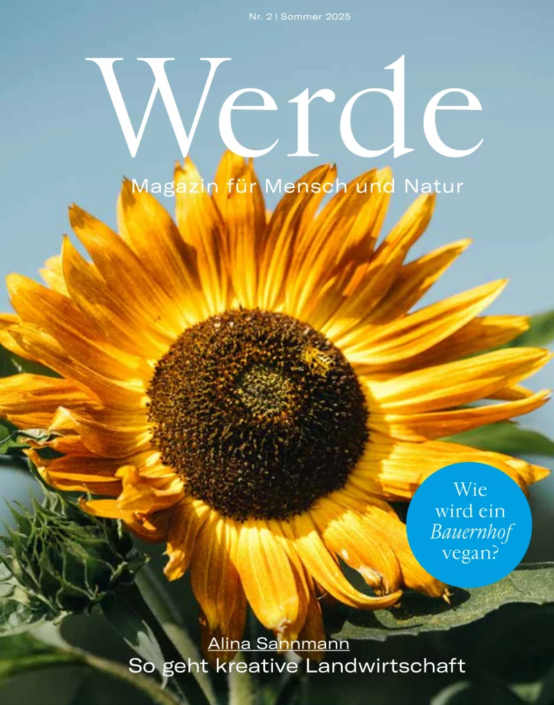 Werde Sommer 2/2025