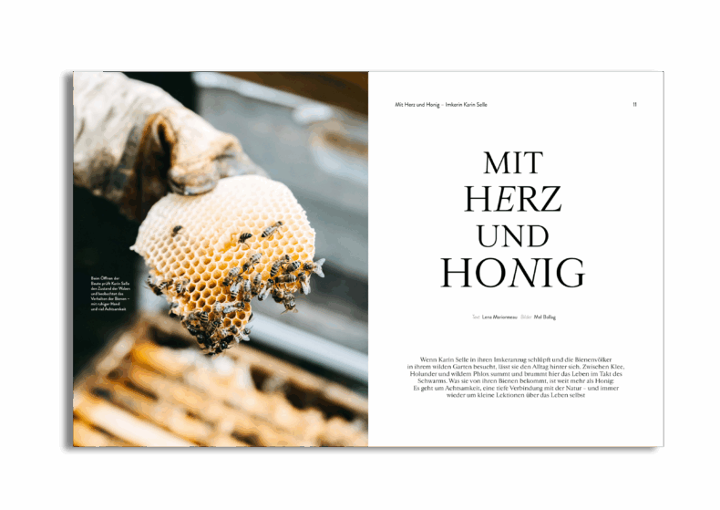 Herbst 2025 – Bild 12