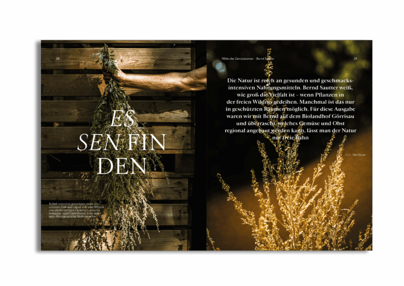 Herbst 2025 – Bild 10