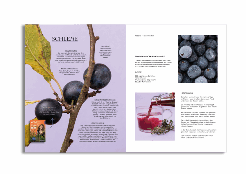 Herbst 2025 – Bild 7