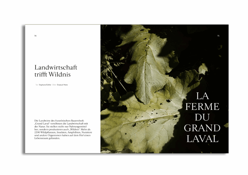 Herbst 2025 – Bild 6