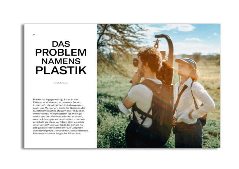 Herbst 2025 – Bild 4
