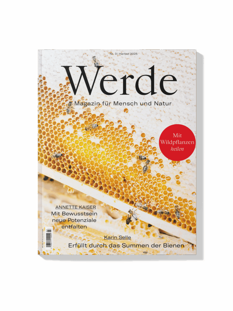 Herbst 2025