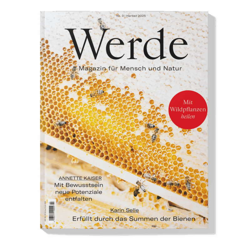 Herbst 2025