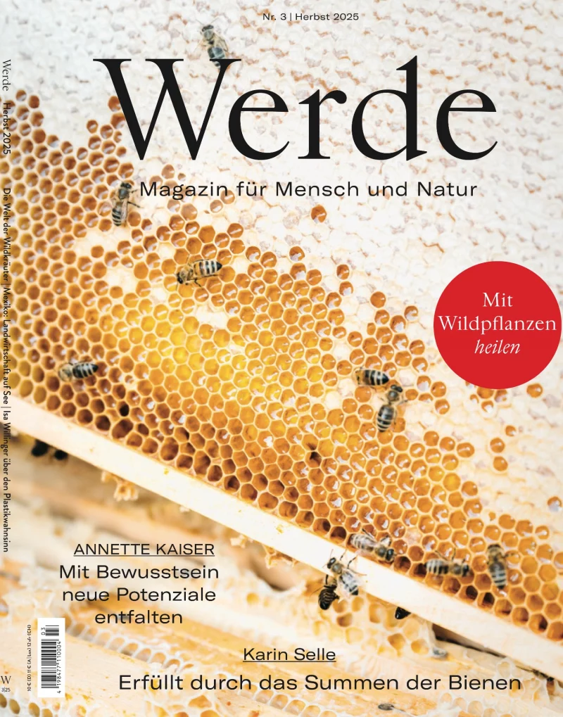 Werde Herbst 3/2025