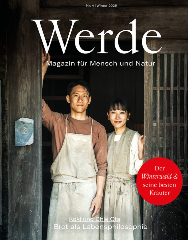 Werde Winter 4/2025
