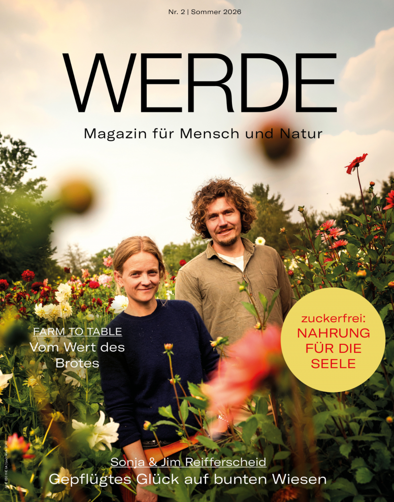 Werde Sommer 2/2026