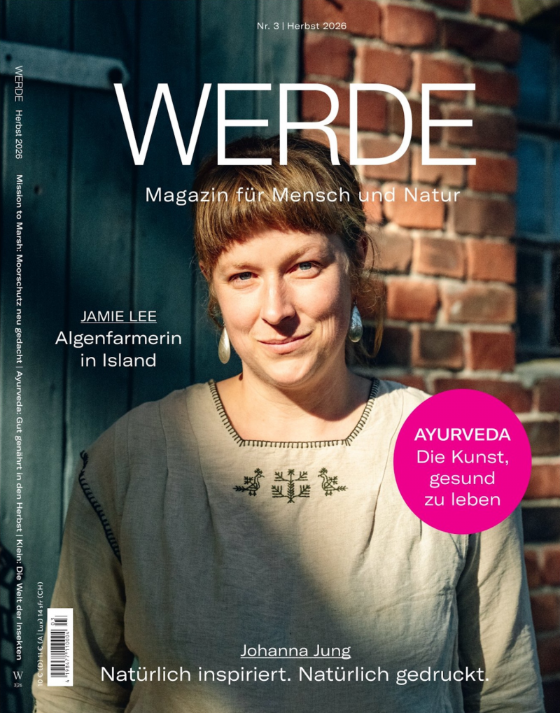 Werde Herbst 3/2026